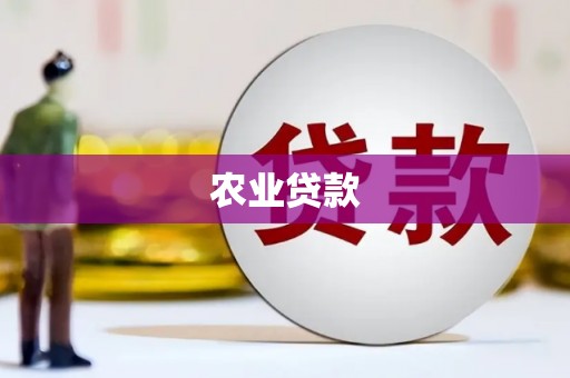 赵县农业贷款