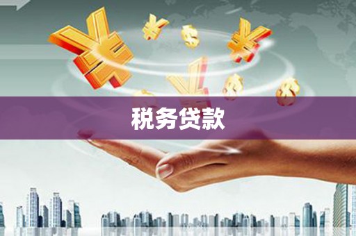赵县税务贷款