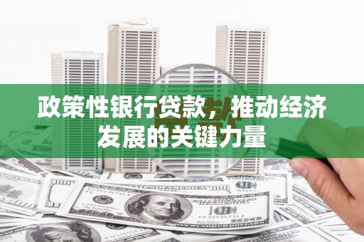赵县政策性银行贷款，推动经济发展的关键力量