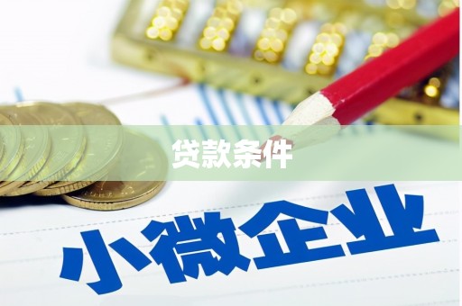 赵县贷款条件