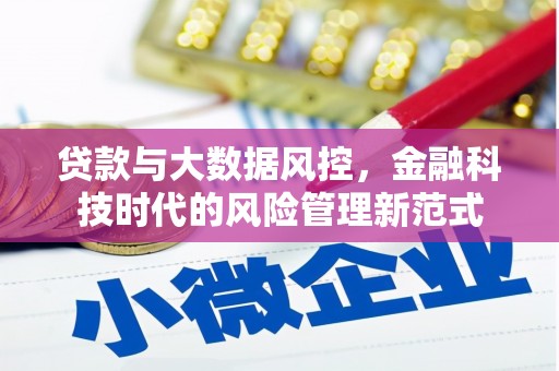 赵县贷款与大数据风控，金融科技时代的风险管理新范式