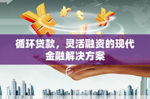 赵县循环贷款，灵活融资的现代金融解决方案