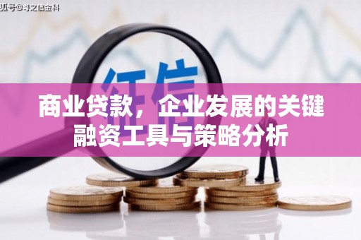 赵县商业贷款，企业发展的关键融资工具与策略分析