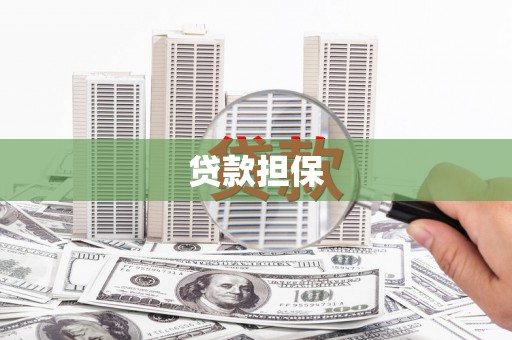 赵县贷款担保