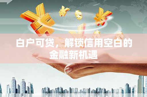 赵县白户可贷，解锁信用空白的金融新机遇
