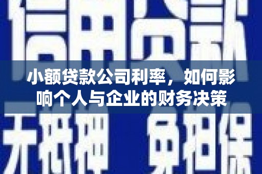 赵县小额贷款公司利率，如何影响个人与企业的财务决策