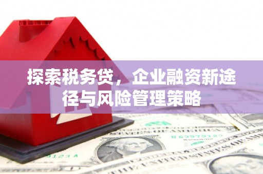 赵县探索税务贷，企业融资新途径与风险管理策略
