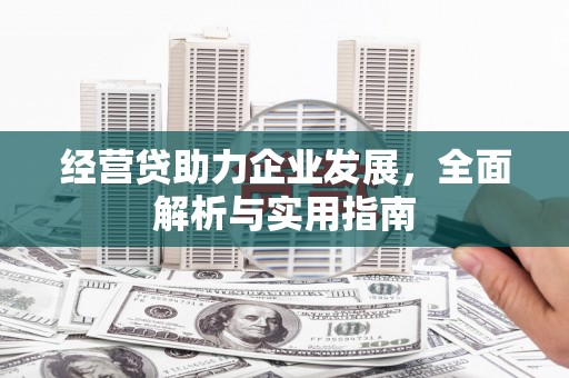 赵县经营贷助力企业发展，全面解析与实用指南