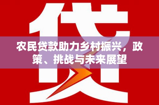 赵县农民贷款助力乡村振兴，政策、挑战与未来展望