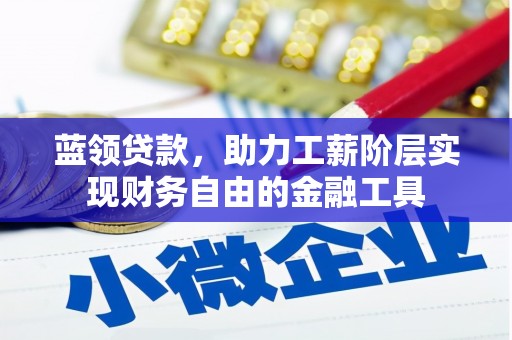 赵县蓝领贷款，助力工薪阶层实现财务自由的金融工具