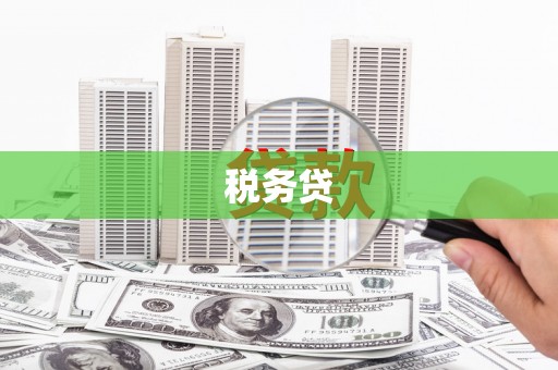 赵县税务贷