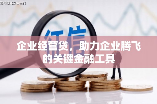 赵县企业经营贷，助力企业腾飞的关键金融工具