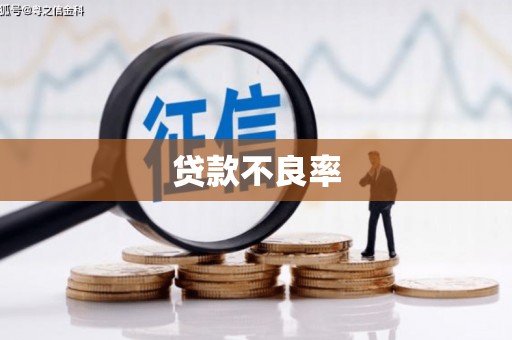 赵县贷款不良率