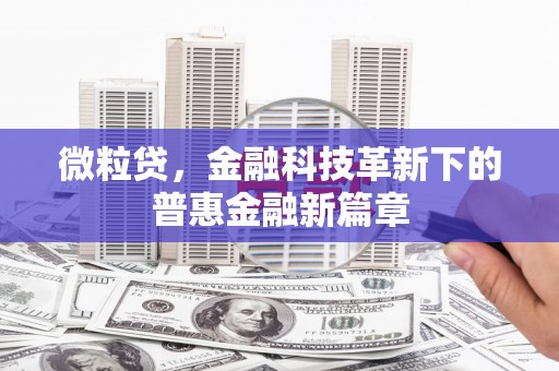 赵县微粒贷，金融科技革新下的普惠金融新篇章