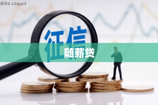 赵县随薪贷