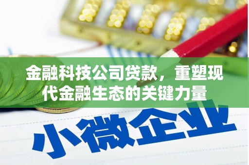 赵县金融科技公司贷款，重塑现代金融生态的关键力量