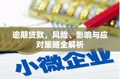赵县逾期贷款，风险、影响与应对策略全解析