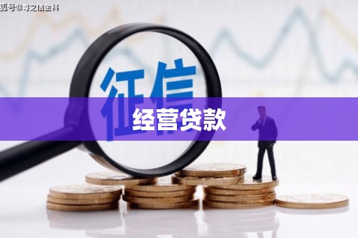 赵县经营贷款