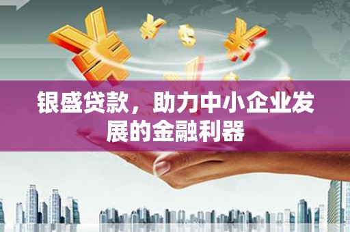 赵县银盛贷款，助力中小企业发展的金融利器