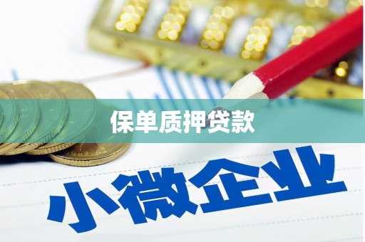 赵县保单质押贷款