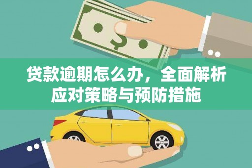 赵县贷款逾期怎么办，全面解析应对策略与预防措施