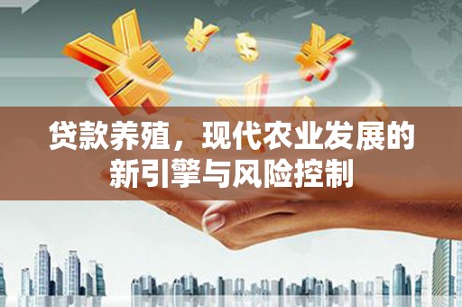 赵县贷款养殖，现代农业发展的新引擎与风险控制