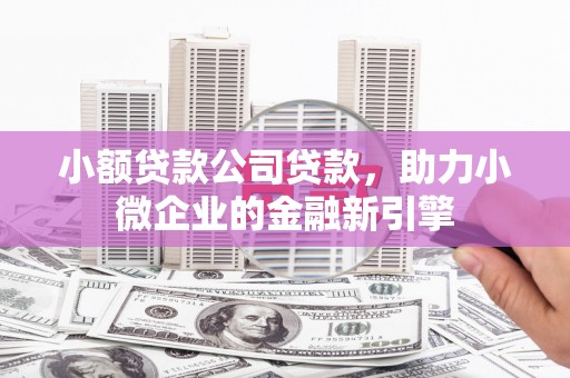 赵县小额贷款公司贷款，助力小微企业的金融新引擎