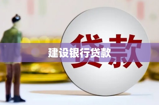 赵县建设银行贷款