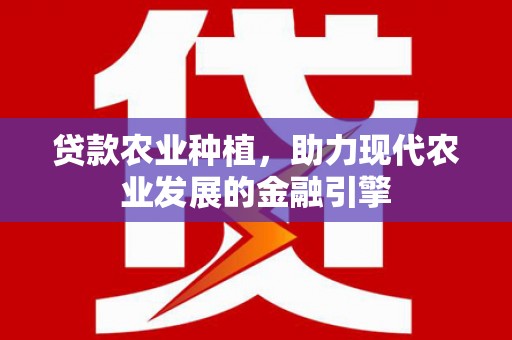 赵县贷款农业种植，助力现代农业发展的金融引擎