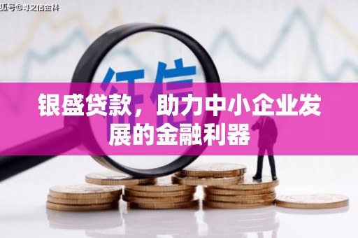 赵县银盛贷款，助力中小企业发展的金融利器