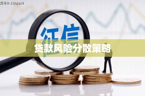 赵县贷款风险分散策略