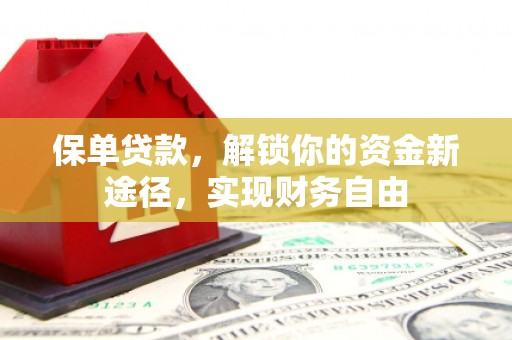 赵县保单贷款，解锁你的资金新途径，实现财务自由