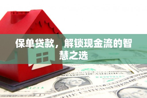赵县保单贷款，解锁现金流的智慧之选