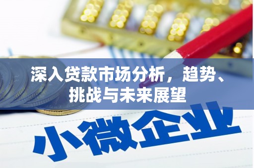 赵县深入贷款市场分析，趋势、挑战与未来展望