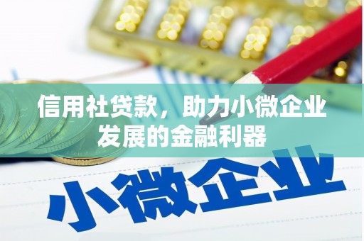 赵县信用社贷款，助力小微企业发展的金融利器