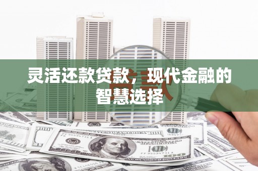 赵县灵活还款贷款，现代金融的智慧选择