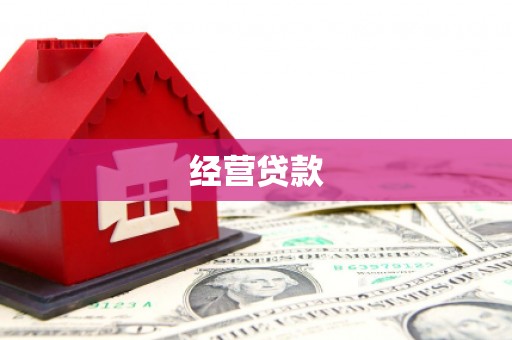 赵县经营贷款