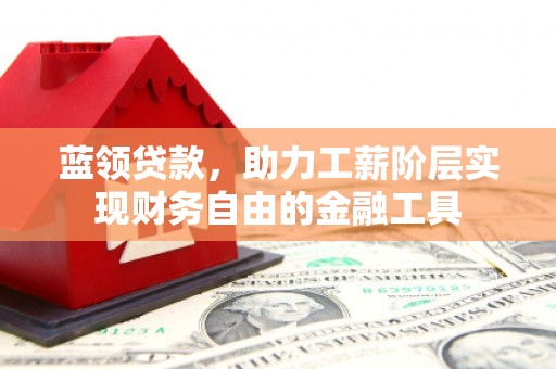 赵县蓝领贷款，助力工薪阶层实现财务自由的金融工具