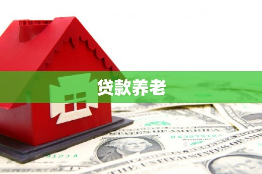 赵县贷款养老