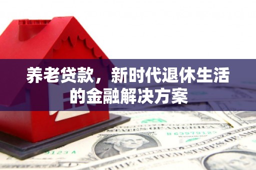 赵县养老贷款，新时代退休生活的金融解决方案