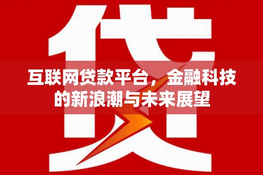 赵县互联网贷款平台，金融科技的新浪潮与未来展望