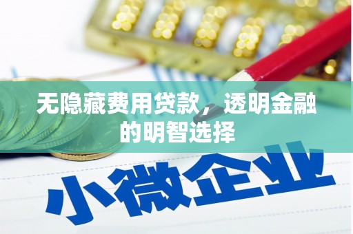 赵县无隐藏费用贷款，透明金融的明智选择