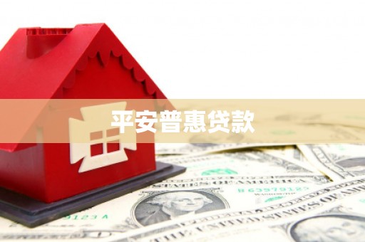 赵县平安普惠贷款