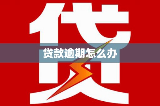 赵县贷款逾期怎么办