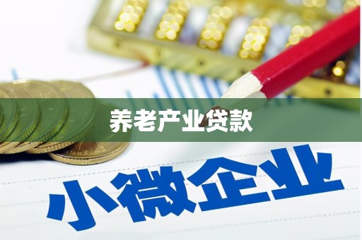 赵县养老产业贷款