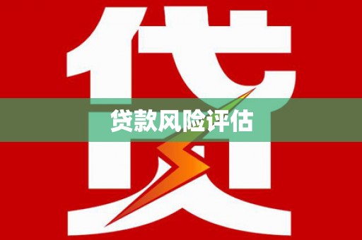 赵县贷款风险评估