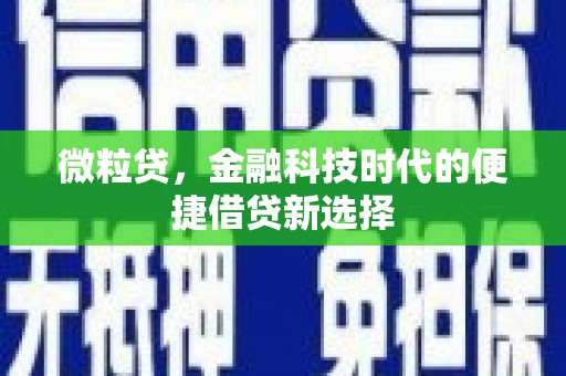 赵县微粒贷，金融科技时代的便捷借贷新选择