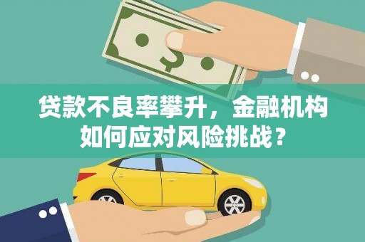 赵县贷款不良率攀升，金融机构如何应对风险挑战？