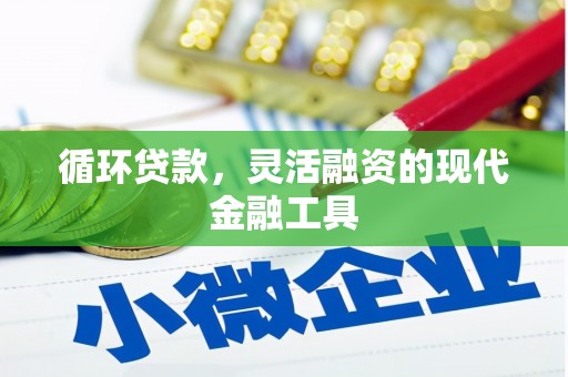 赵县循环贷款，灵活融资的现代金融工具
