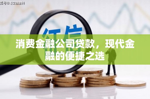 赵县消费金融公司贷款，现代金融的便捷之选